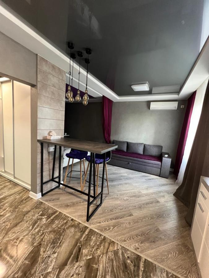 дизайнерская студио 10 мин метро позняки Apartment Kyiv
